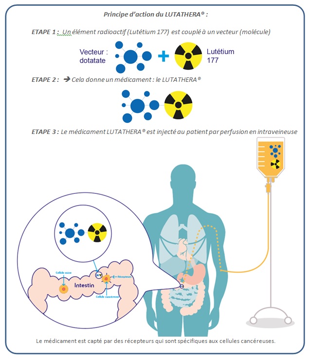 Principe d'action du LUTATHERA