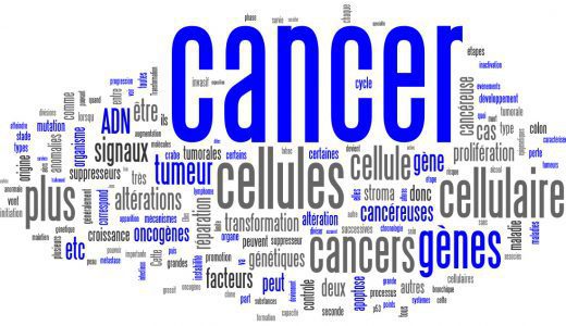 Cancérologie (2) : des bases fondamentales à la pratique quotidienne