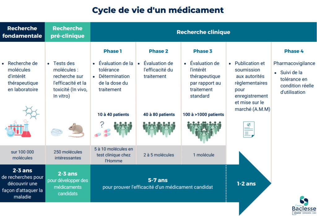 Schéma du cycle de vie d'un médicament