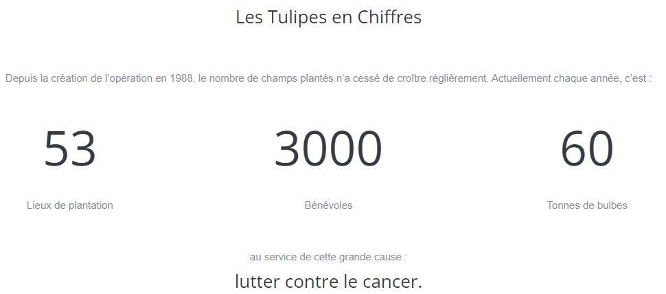 3 chiffres-clés des Tulipes contre le cancer