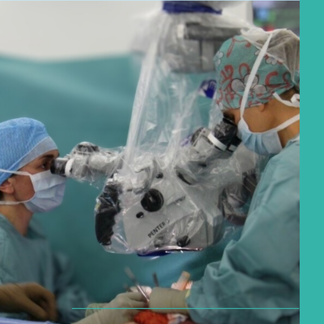 Chirurgie plastique, reconstructrice et esthétique - Centre François ...