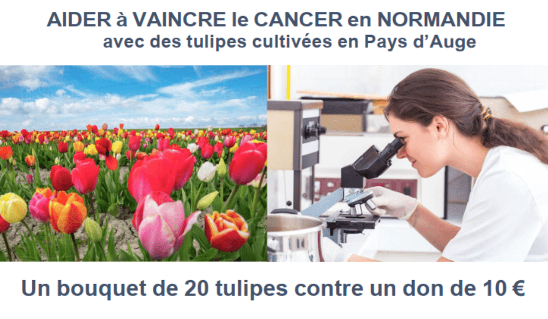 Affiche Tulipes contre le cancer - Lions Club Cabourg - Centre Baclesse Caen