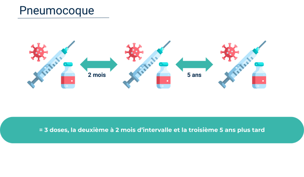 Pneumocoque