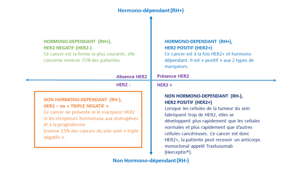 Schéma sur les différents sous-types de cancers du sein