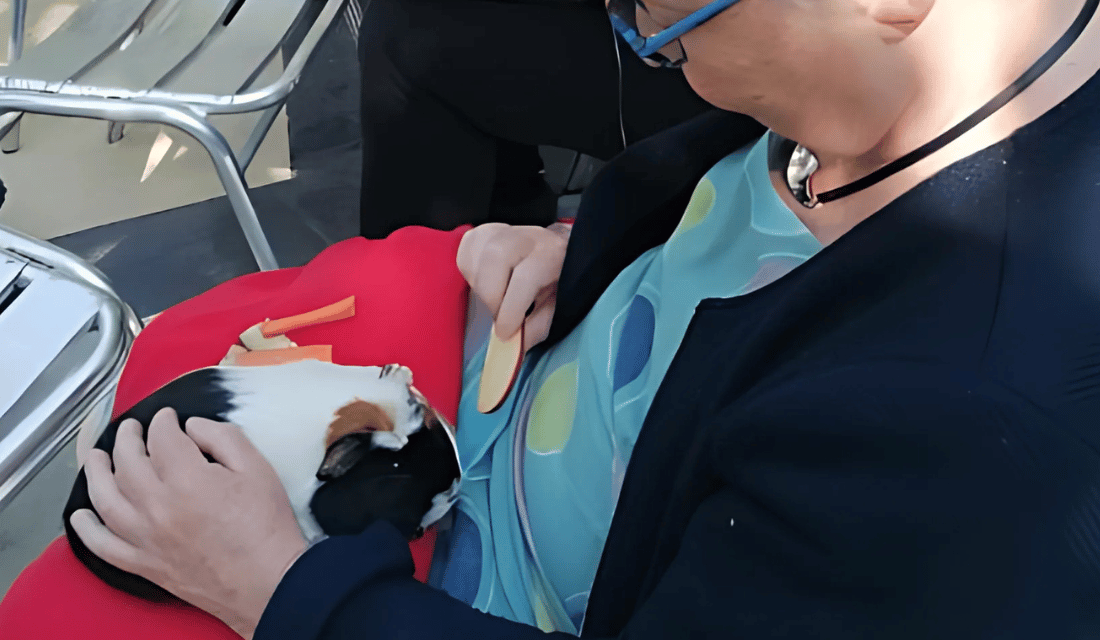 Patient avec un cochon d'inde pour la médiation animale dans le jardin thérapeutique du Centre Baclesse